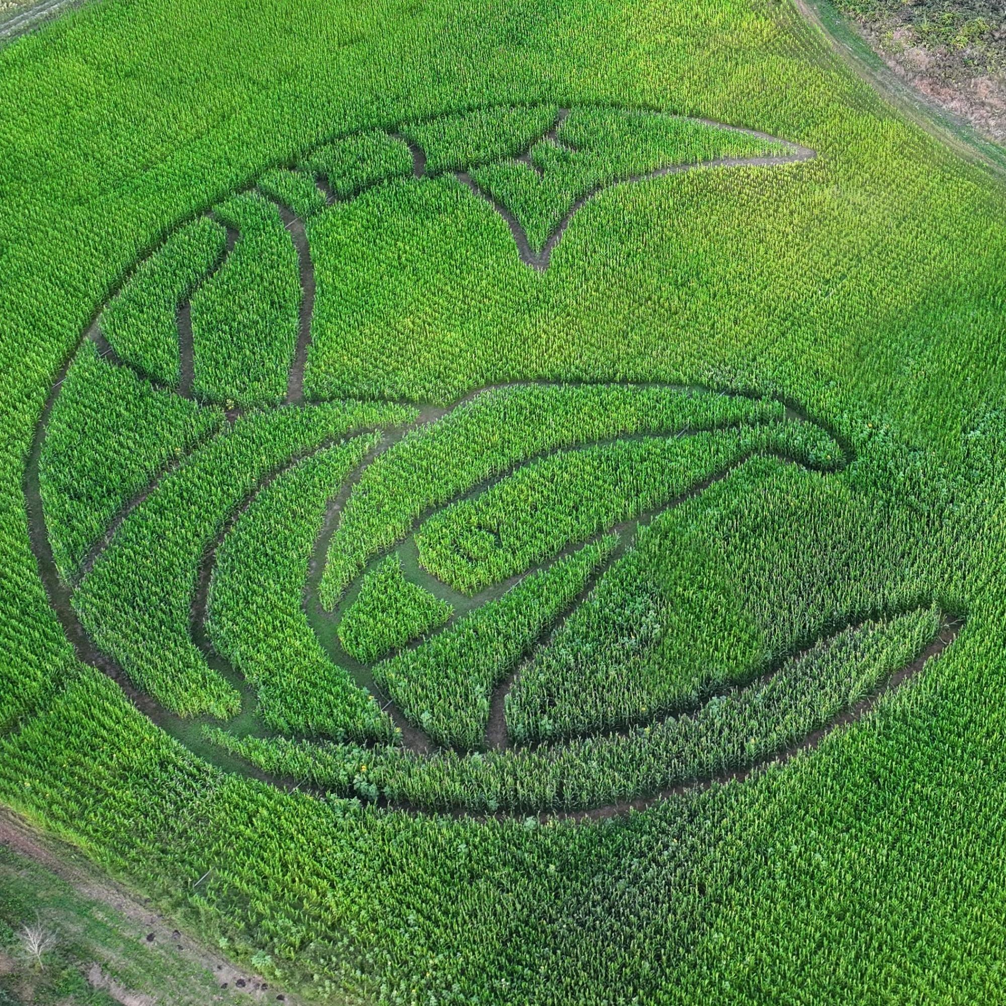 Image for Fall Harvest Weekends
