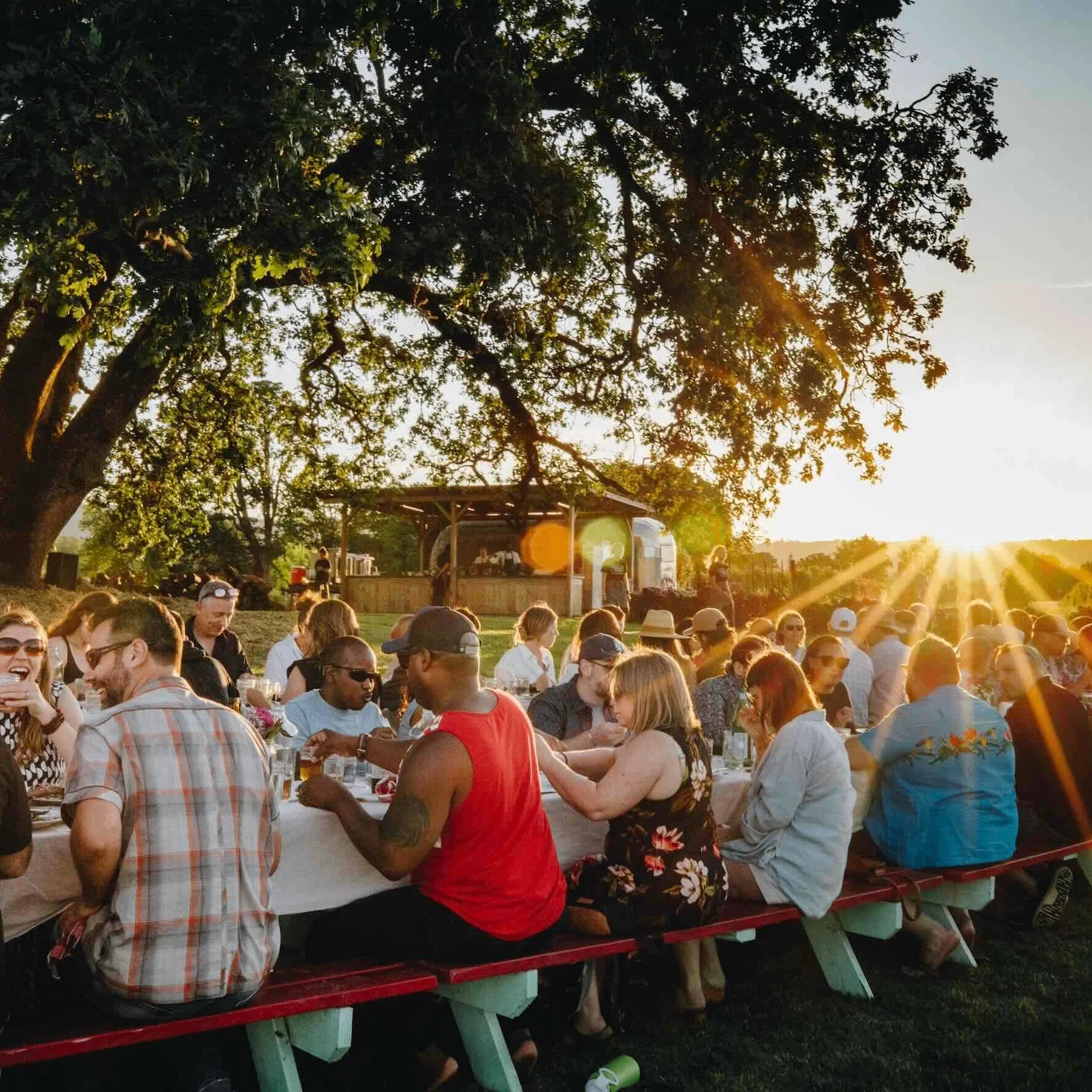 Image for Farm to Plate Dinner at Topaz Farm