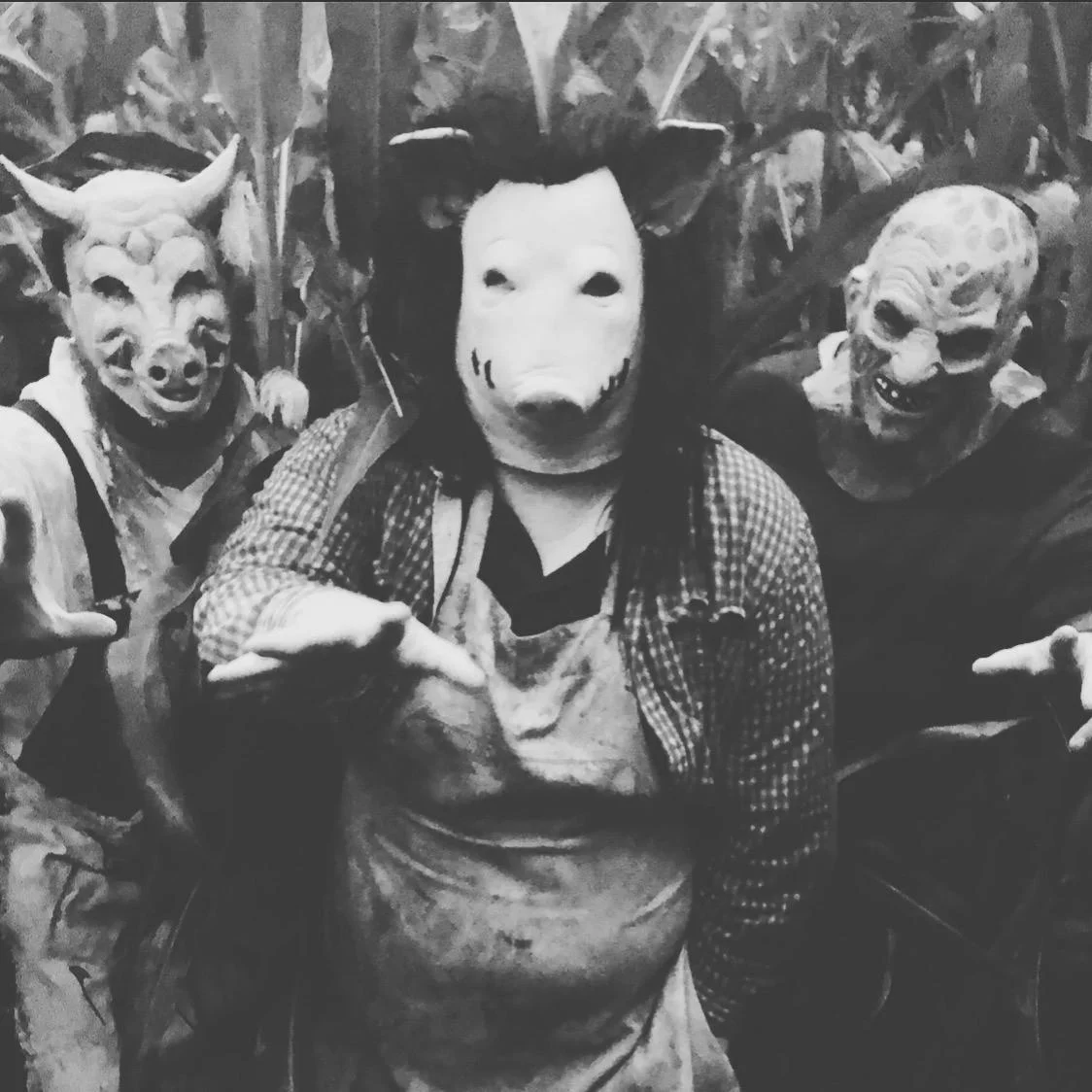 Image for Haunted Corn Maze