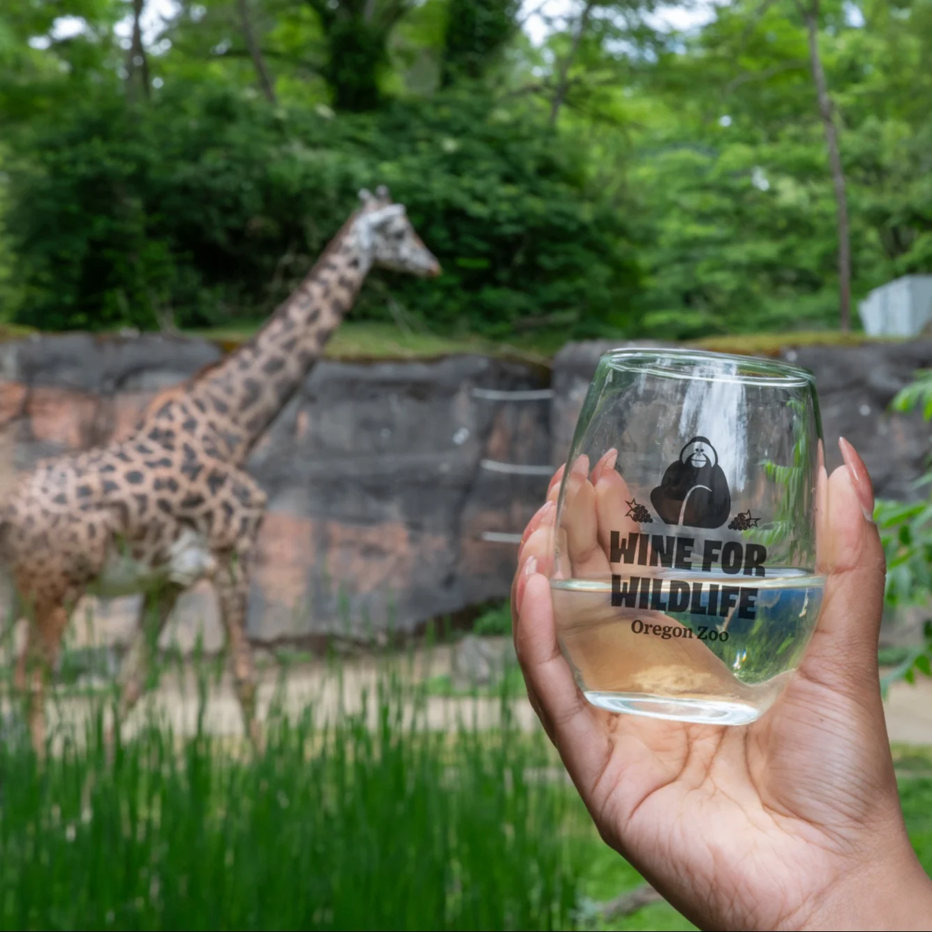 Image for Wine for Wildlife 