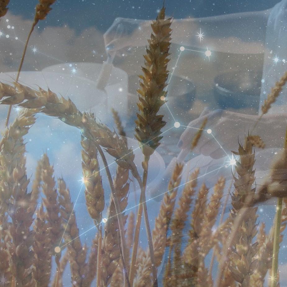 Image for  Lughnasadh | Leo Season Sound Bath