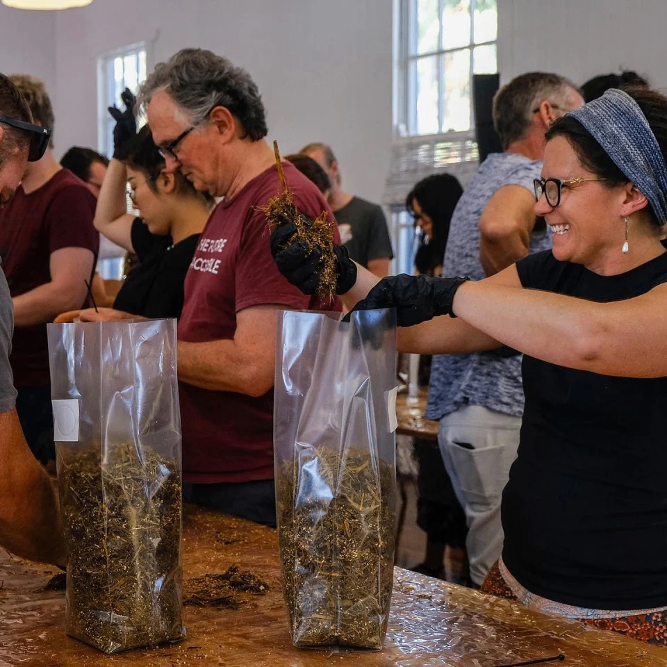 Image for Portland Fungi Festival