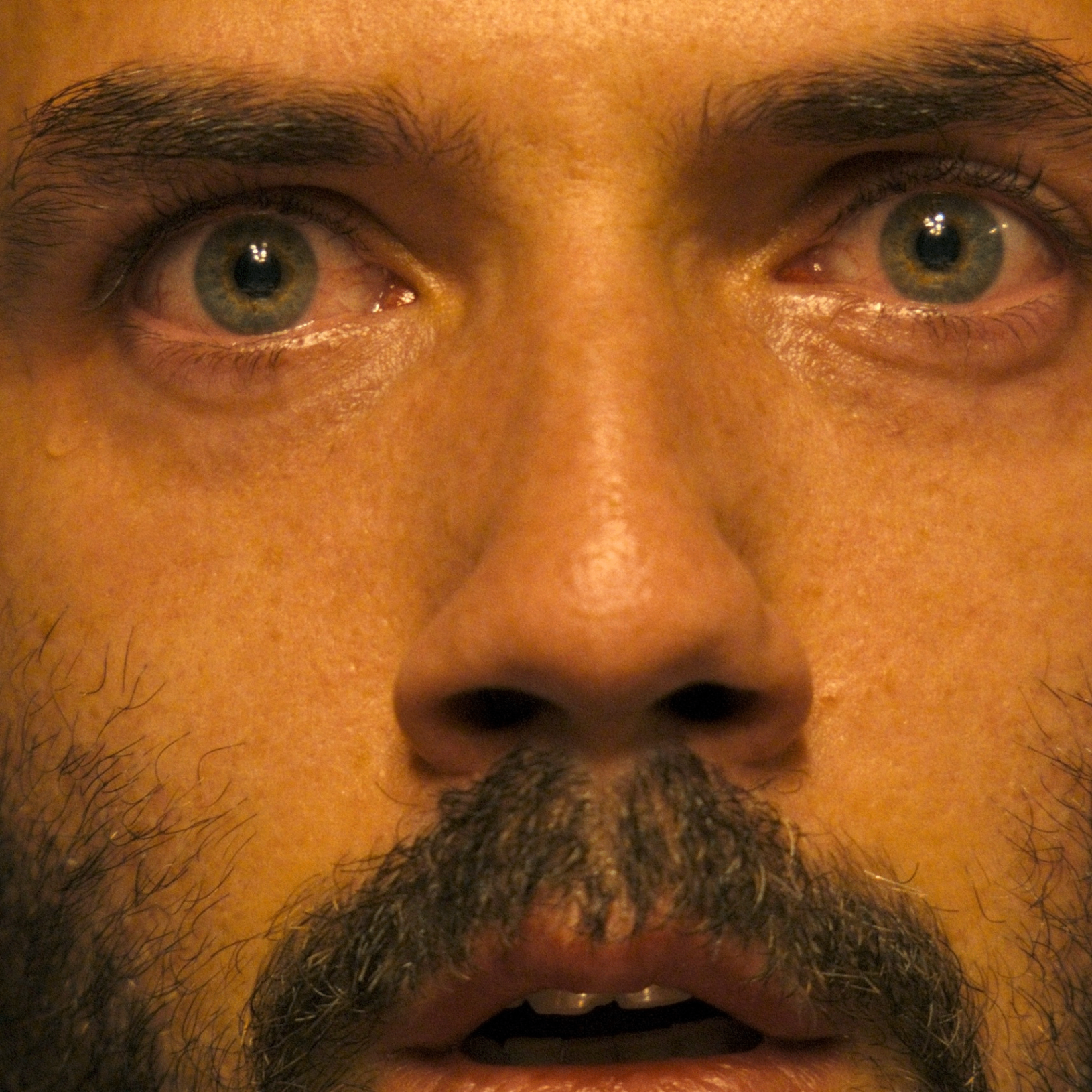 Image for Portland Horror Film Festival