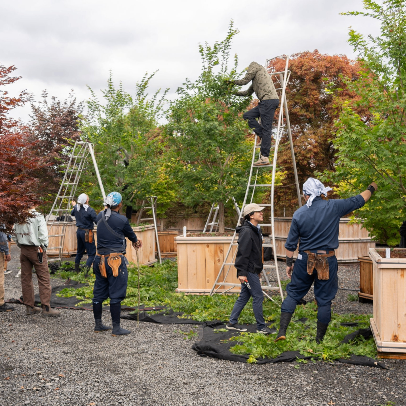 Image for Learn How to Build Japanese Gardens: “Waza to Kokoro” 2026