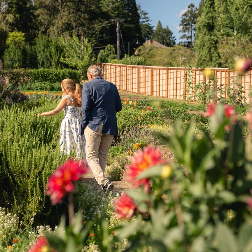 Image for Petals and Pink: Dinner in the Garden