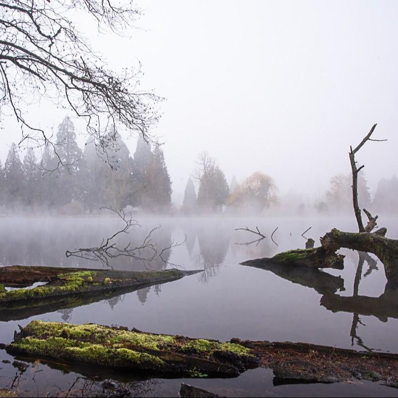 Image for Crystal Springs Holiday Market
