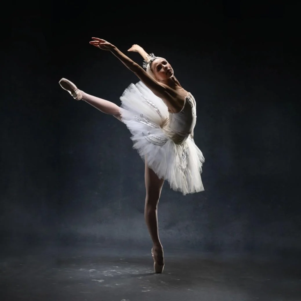 Image for Swan Lake