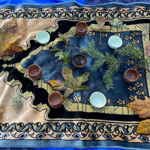 Image for Forest Bathing- Shinrin Yoku and Haiku with ZEN:MNM