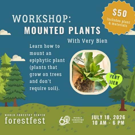 Image for Mount an Epiphytic Plant