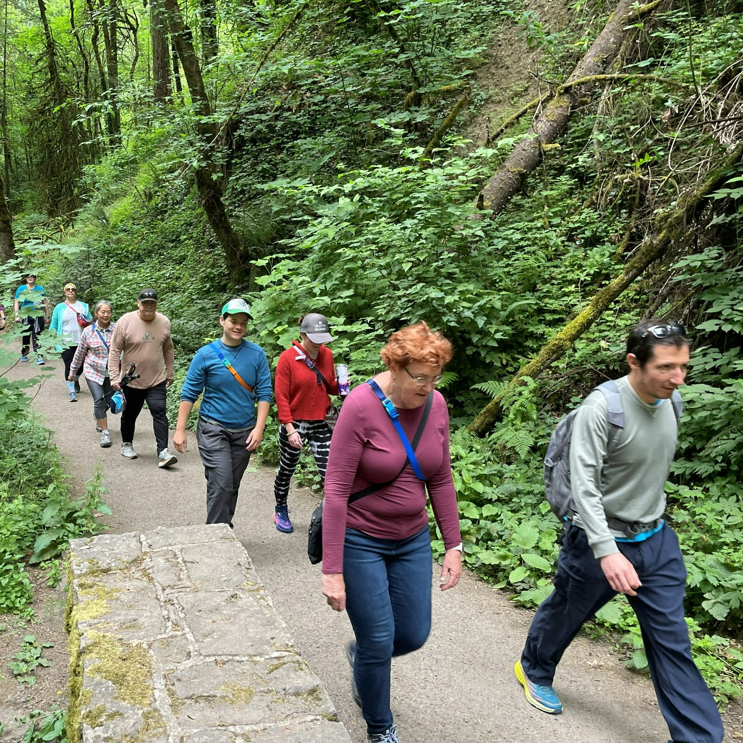 Image for Bilingual (English/Vietnamese) Ecological Walk