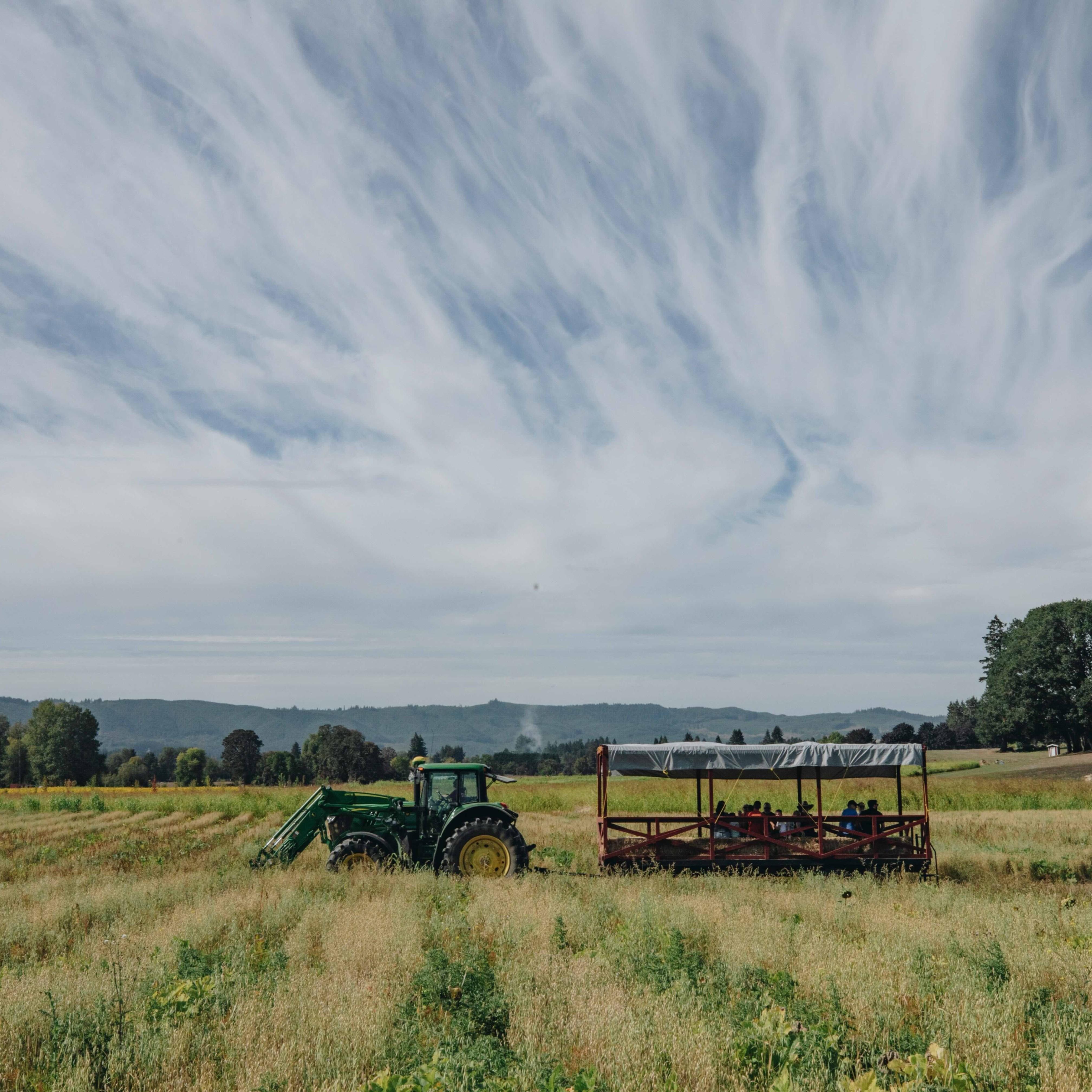 Image for Fall Harvest Weekends